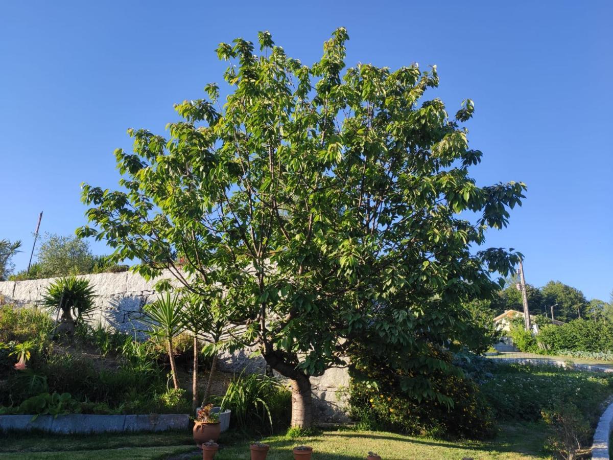 Propriedade Do Pires Guimarães Buitenkant foto